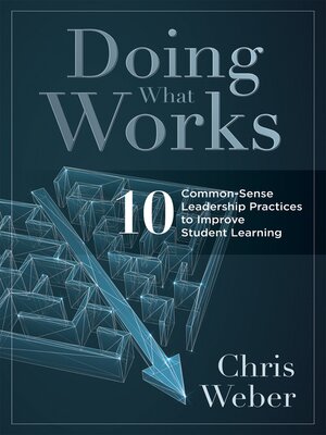 cover image of Doing What Works